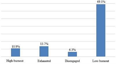 Assessment of burnout, resilience, and thriving among academic health professionals: findings from an international study